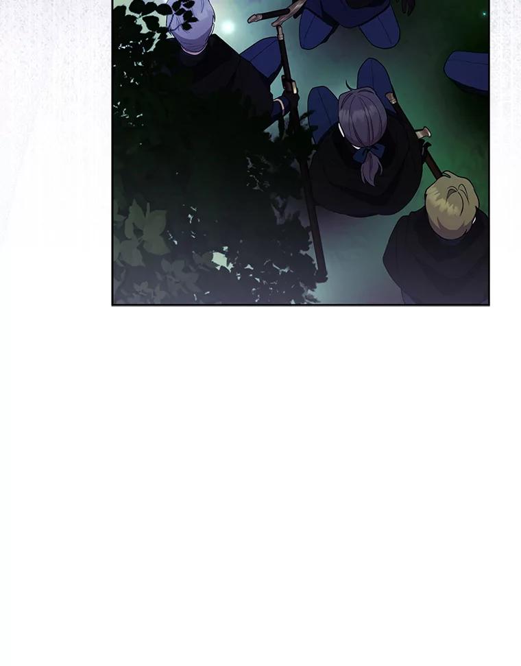 《大公家的狐狸皇女》45.以身入局 第82页