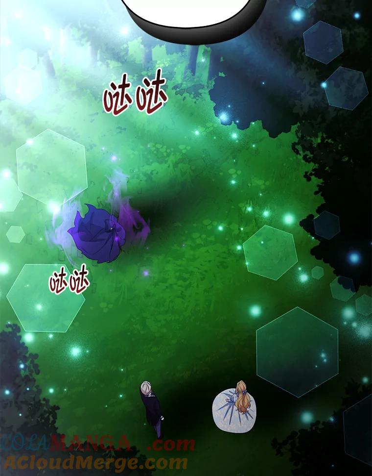 《大公家的狐狸皇女》45.以身入局 第85页