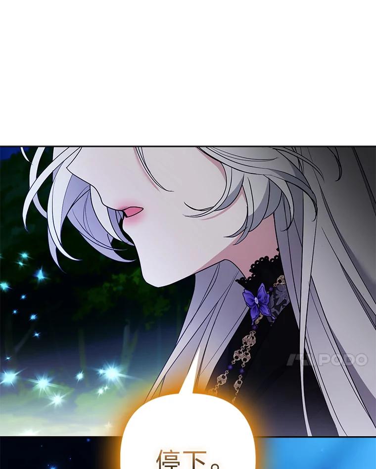 《大公家的狐狸皇女》45.以身入局 第100页