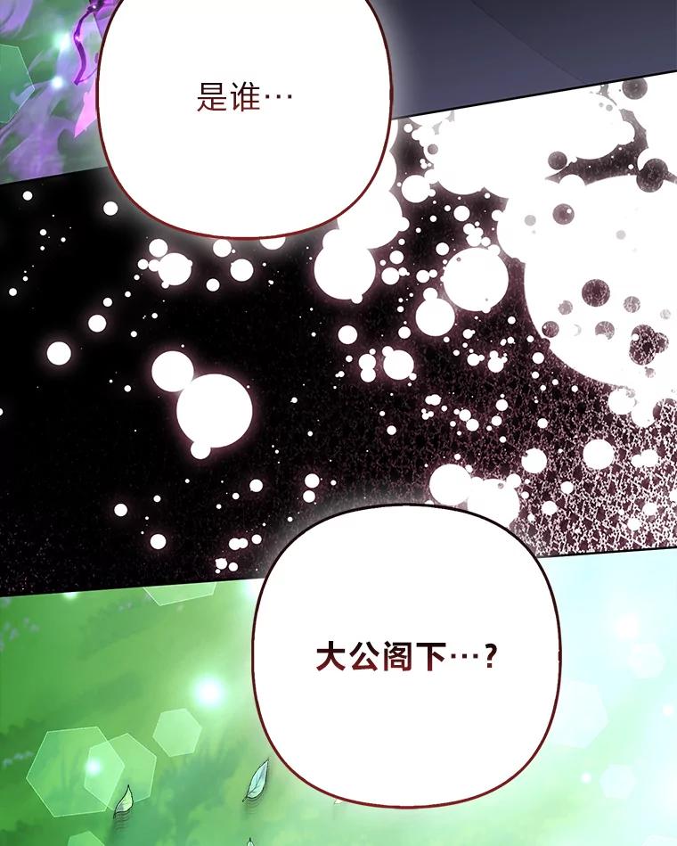 《大公家的狐狸皇女》45.以身入局 第103页