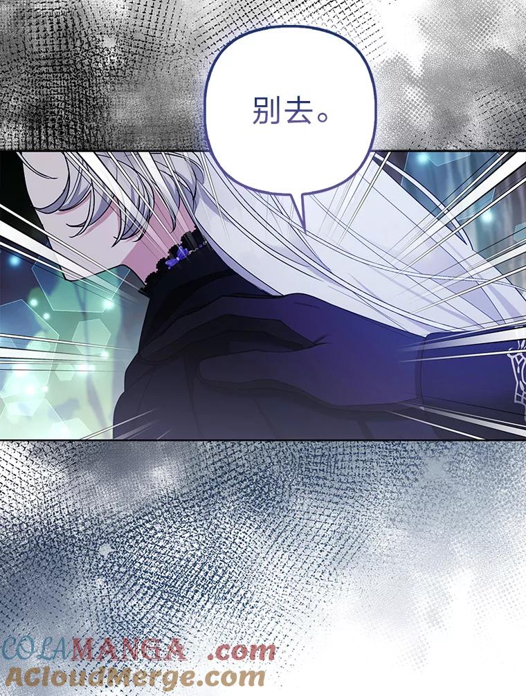 《大公家的狐狸皇女》45.以身入局 第93页