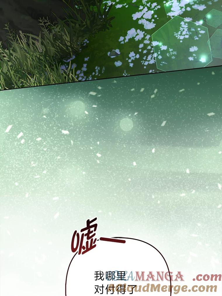 《大公家的狐狸皇女》46.陷入回忆 第41页