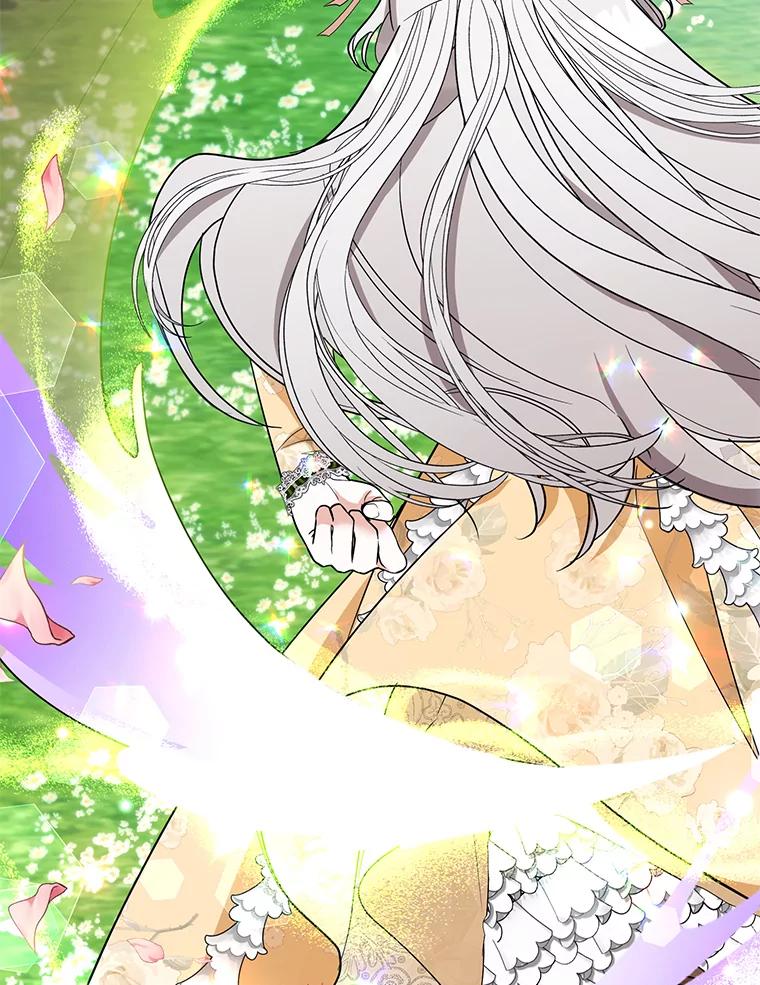 《大公家的狐狸皇女》46.陷入回忆 第95页
