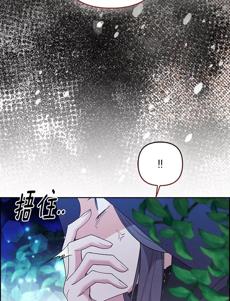 《大公家的狐狸皇女》46.陷入回忆 第66页