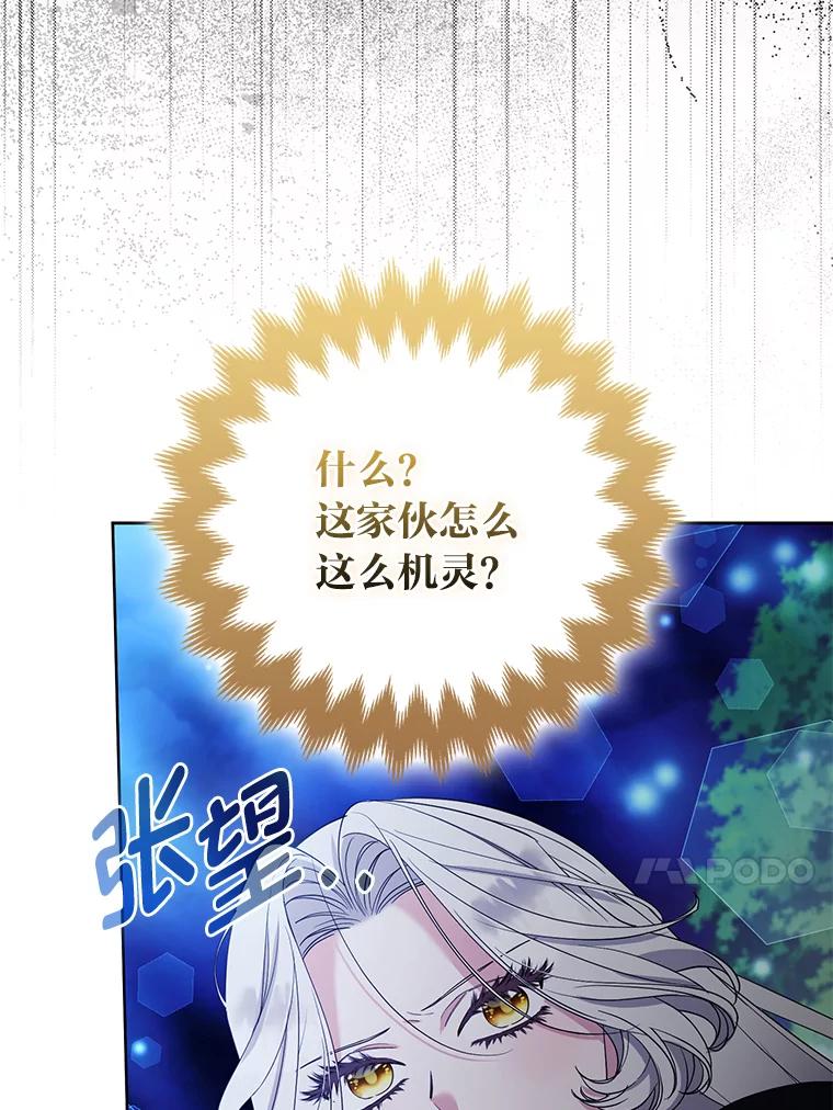 《大公家的狐狸皇女》46.陷入回忆 第43页