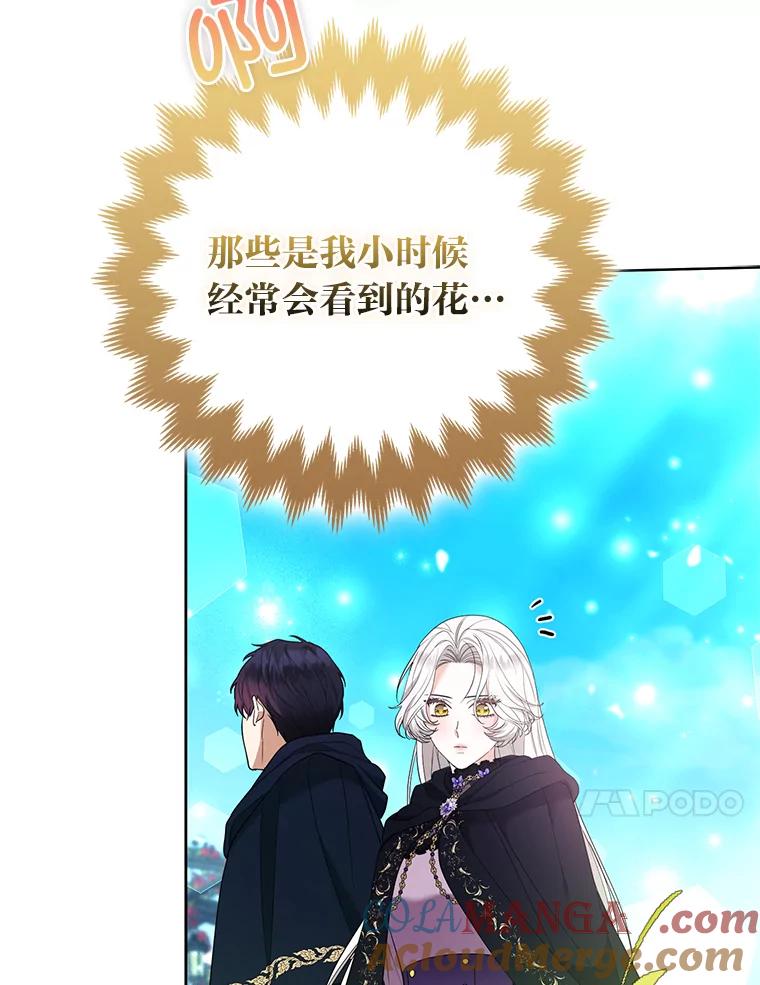 《大公家的狐狸皇女》46.陷入回忆 第89页