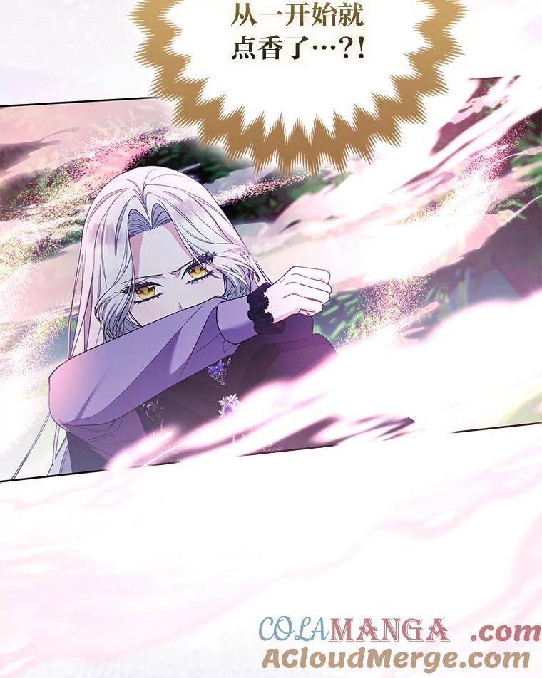 《大公家的狐狸皇女》46.陷入回忆 第77页
