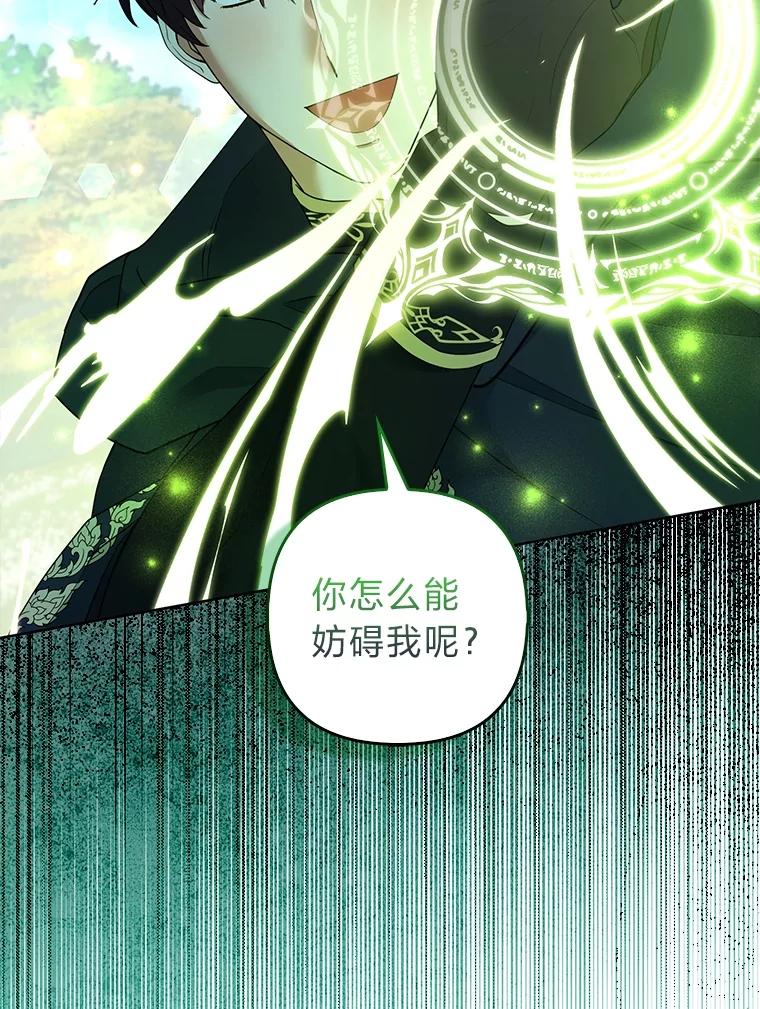 《大公家的狐狸皇女》47.稚嫩的感情 第67页