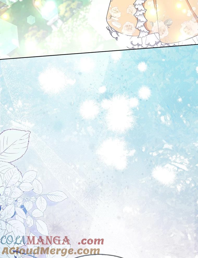 《大公家的狐狸皇女》47.稚嫩的感情 第29页