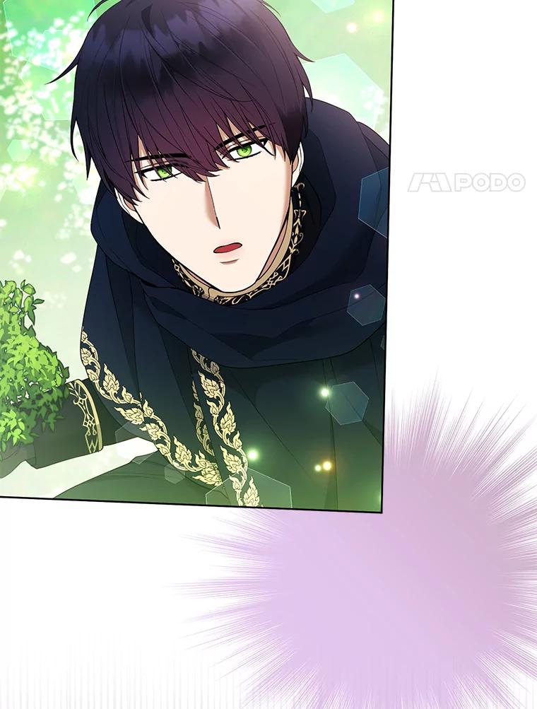 《大公家的狐狸皇女》47.稚嫩的感情 第42页