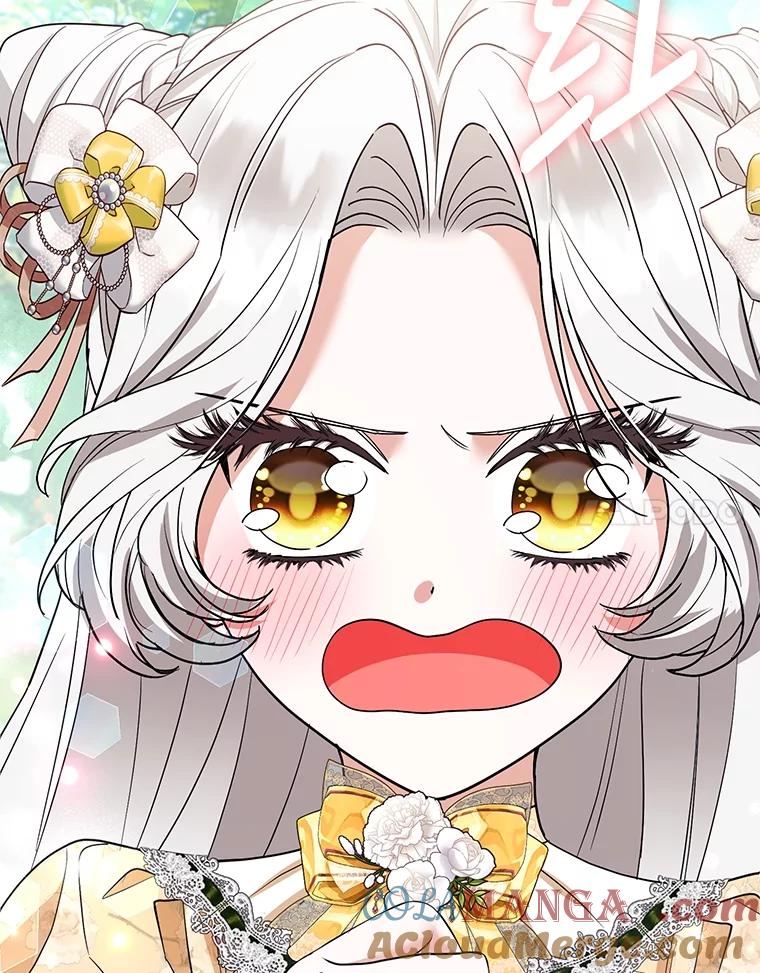 《大公家的狐狸皇女》47.稚嫩的感情 第17页