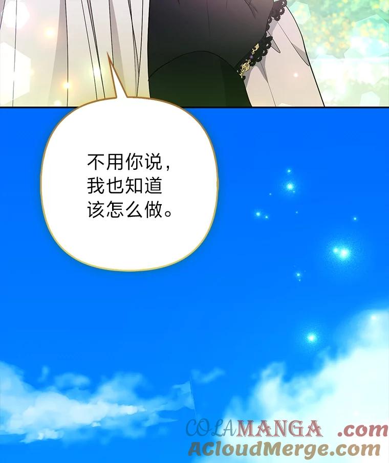 《大公家的狐狸皇女》47.稚嫩的感情 第129页