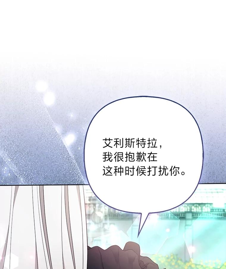 《大公家的狐狸皇女》47.稚嫩的感情 第128页