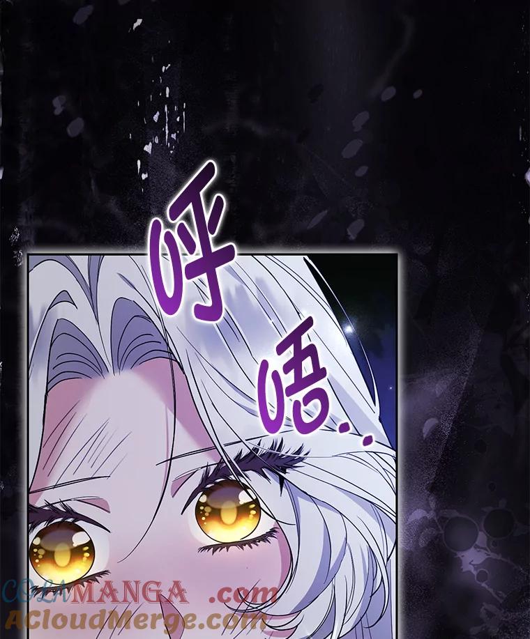 《大公家的狐狸皇女》48.熟悉的小孩 第73页