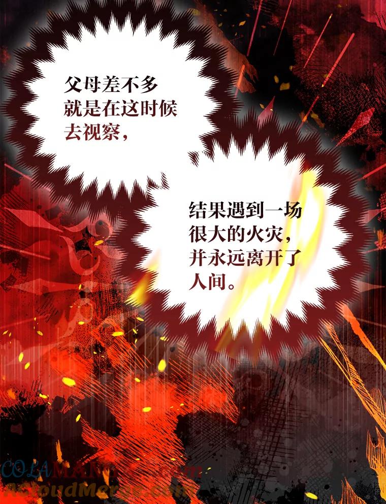 《大公家的狐狸皇女》48.熟悉的小孩 第29页