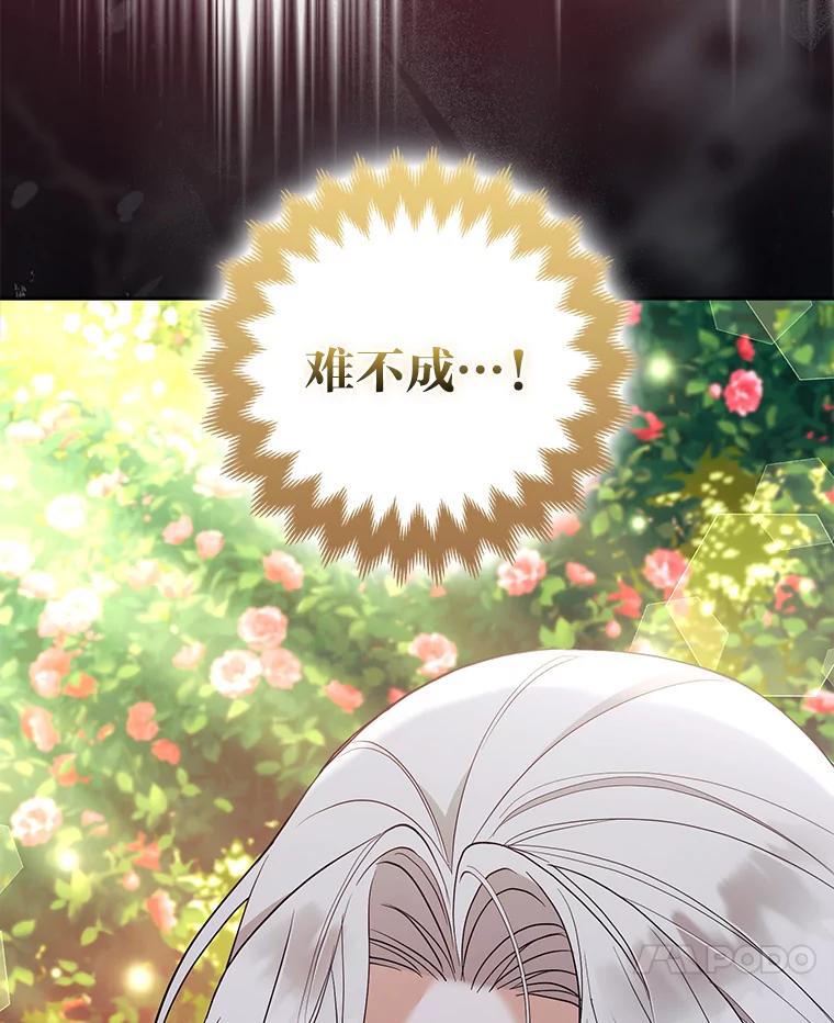 《大公家的狐狸皇女》48.熟悉的小孩 第7页
