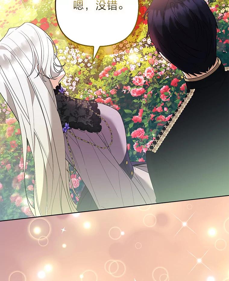 《大公家的狐狸皇女》48.熟悉的小孩 第3页