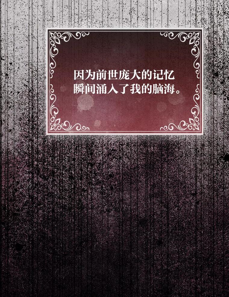 《大公家的狐狸皇女》48.熟悉的小孩 第12页