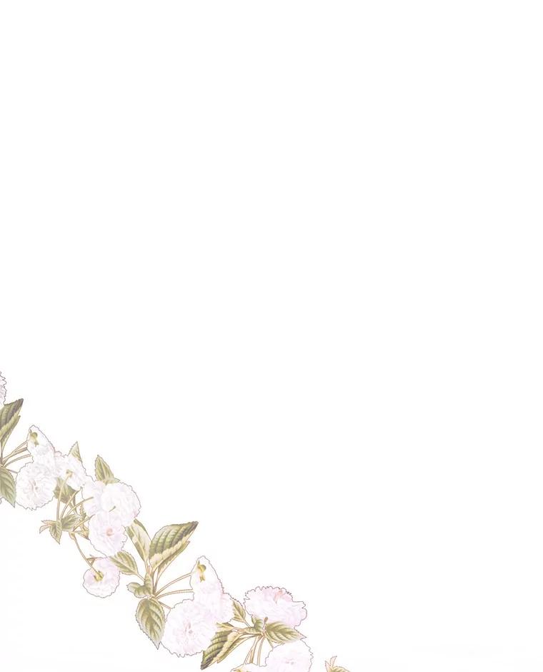 《如果我拯救了背德禽兽》4.歪打误撞 第159页