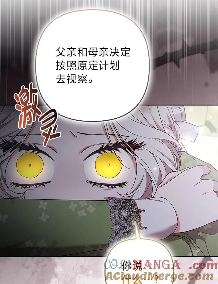 《大公家的狐狸皇女》49.家人的爱 第25页