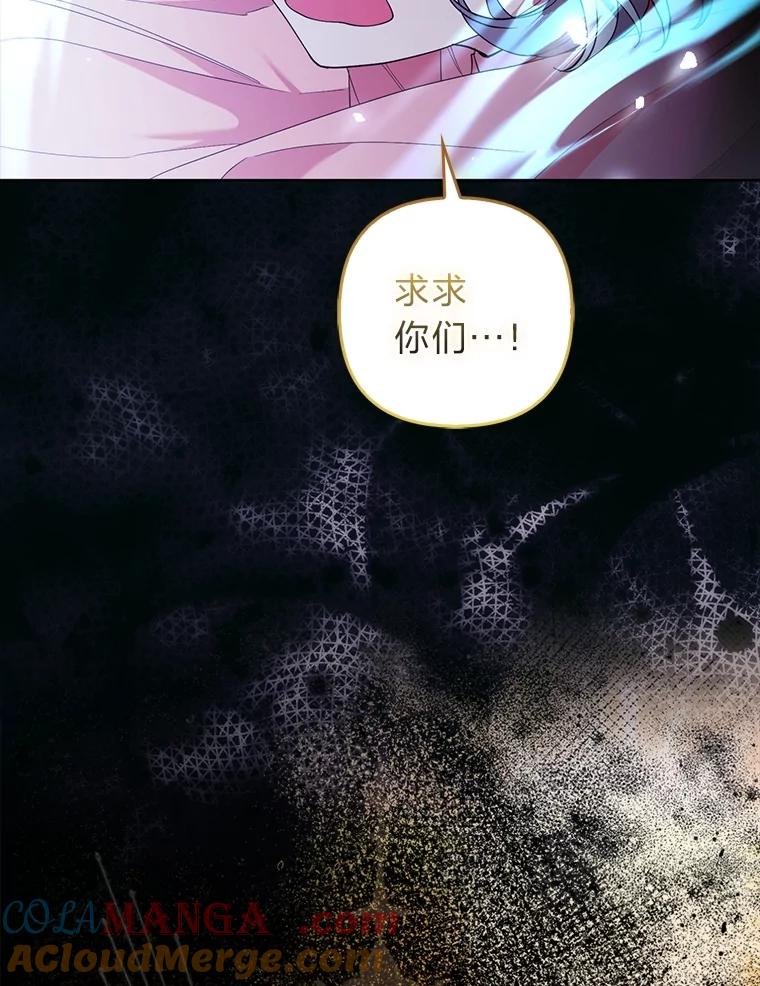 《大公家的狐狸皇女》49.家人的爱 第13页