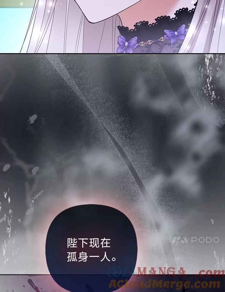 《大公家的狐狸皇女》50.敌人的真正目的 第85页