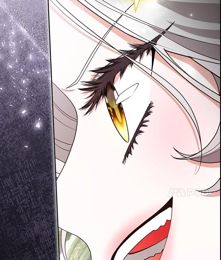 《大公家的狐狸皇女》50.敌人的真正目的 第119页