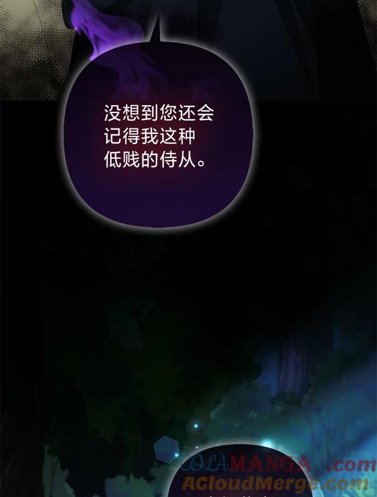 《大公家的狐狸皇女》51.怒发冲冠 第37页