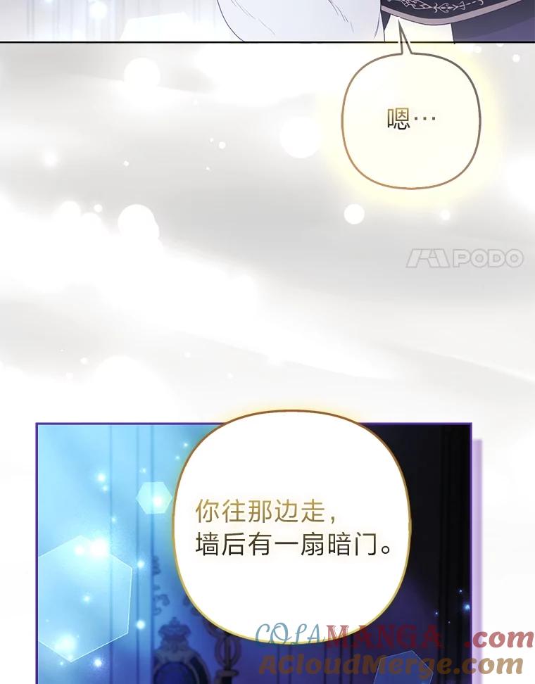 《大公家的狐狸皇女》51.怒发冲冠 第113页