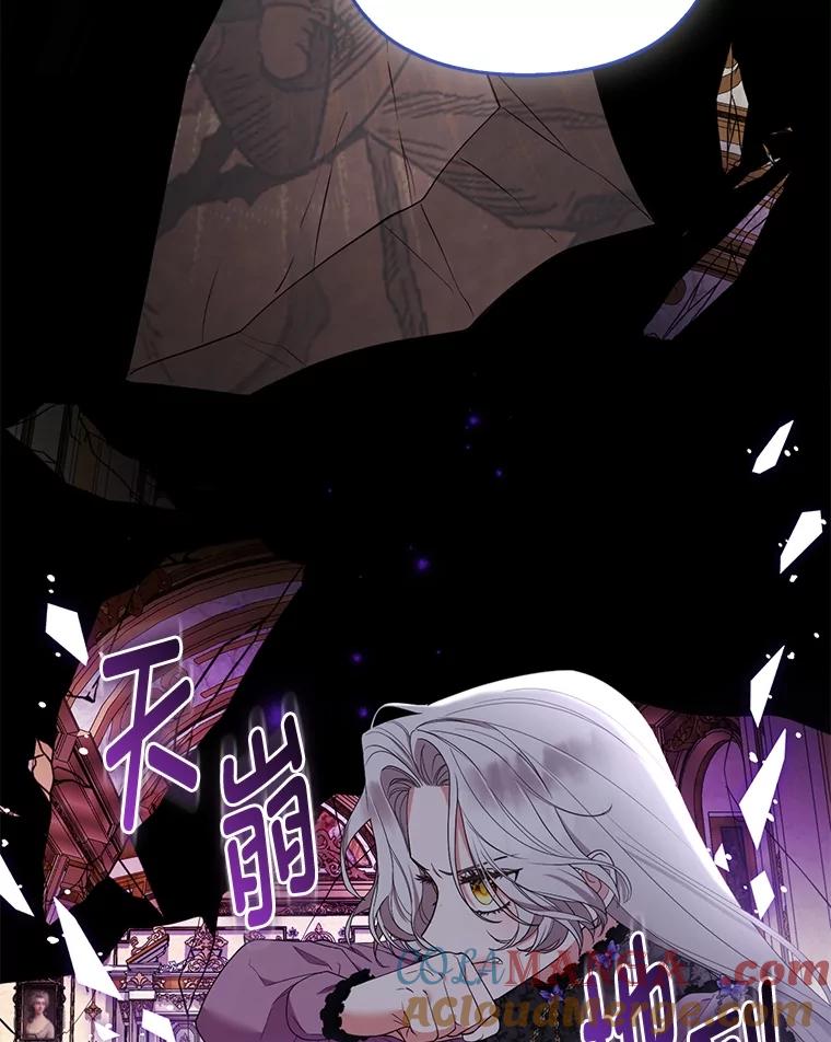 《大公家的狐狸皇女》51.怒发冲冠 第13页