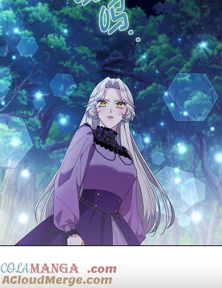 《大公家的狐狸皇女》51.怒发冲冠 第25页