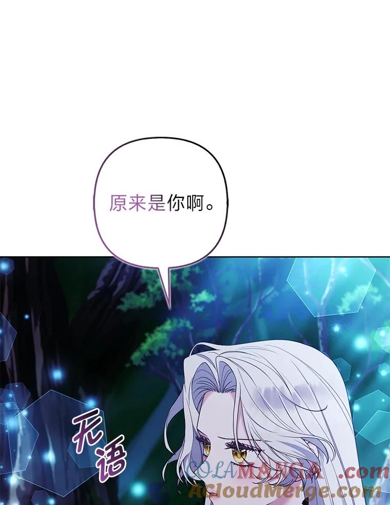 《大公家的狐狸皇女》51.怒发冲冠 第33页
