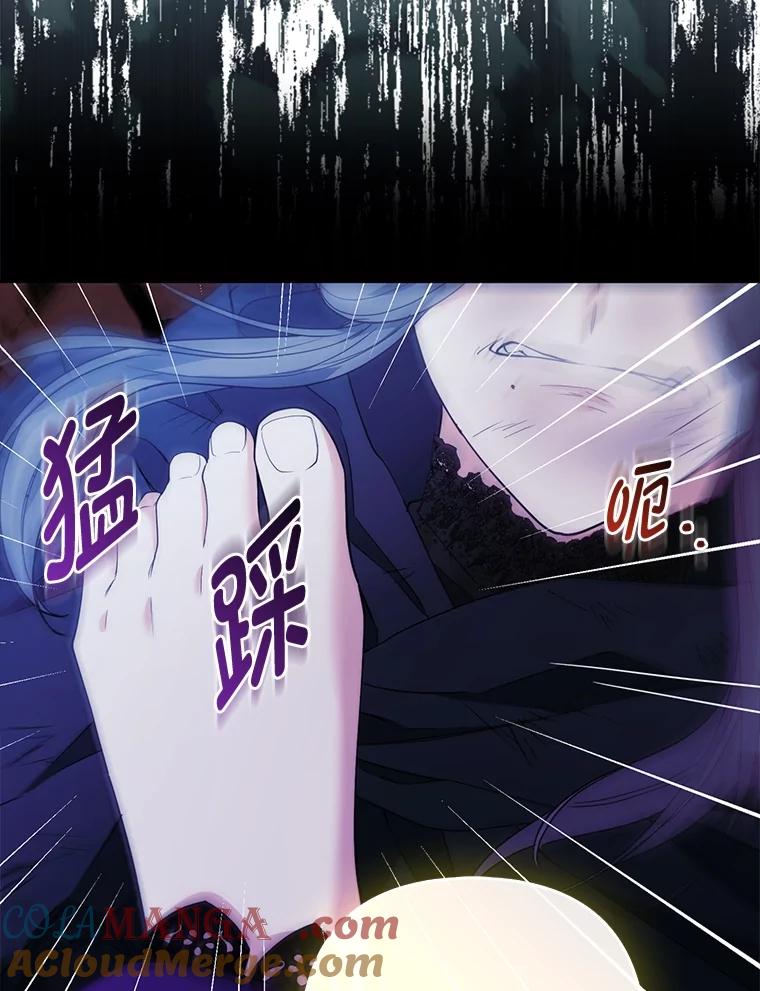 《大公家的狐狸皇女》51.怒发冲冠 第65页