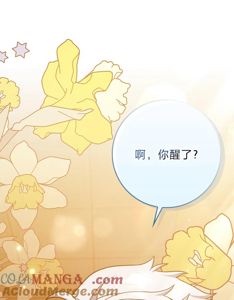 《消失的灰姑娘》4.孰对孰错 第21页