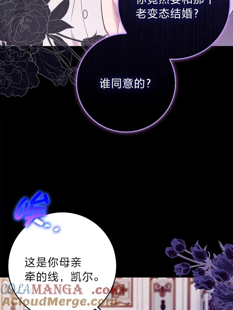 《消失的灰姑娘》4.孰对孰错 第5页