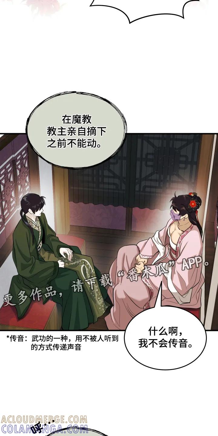 《教主宠妃》第11章： 面纱 第5页