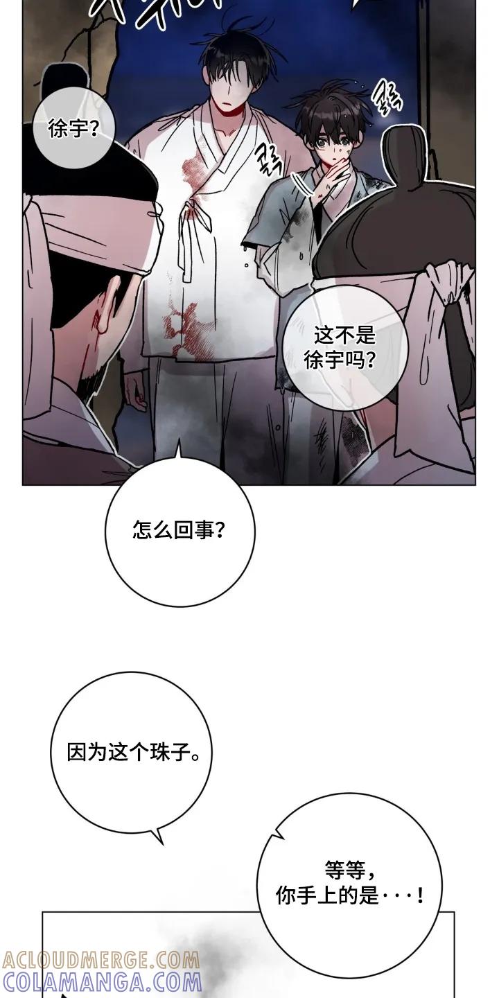 《复生之缘》第193章：这是什么珠子 第13页
