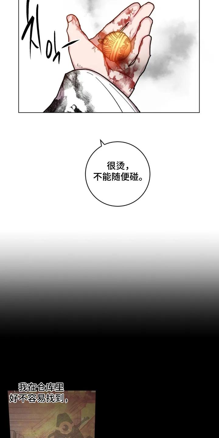 《复生之缘》第193章：这是什么珠子 第14页