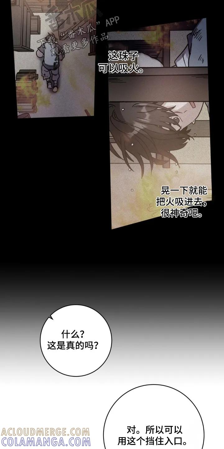 《复生之缘》第193章：这是什么珠子 第15页