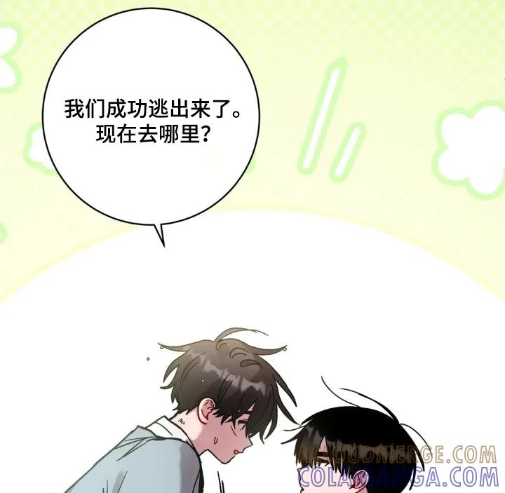 《复生之缘》第193章：这是什么珠子 第31页