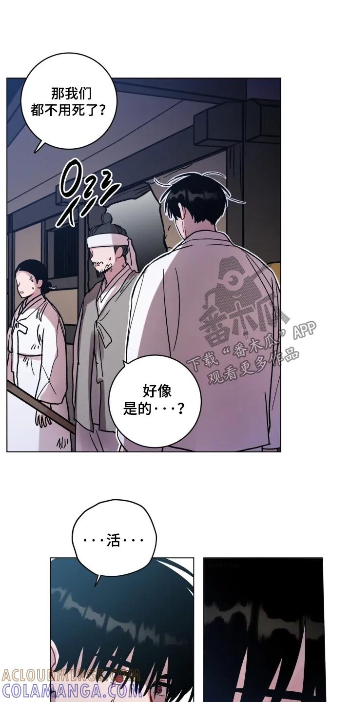 《复生之缘》第193章：这是什么珠子 第17页