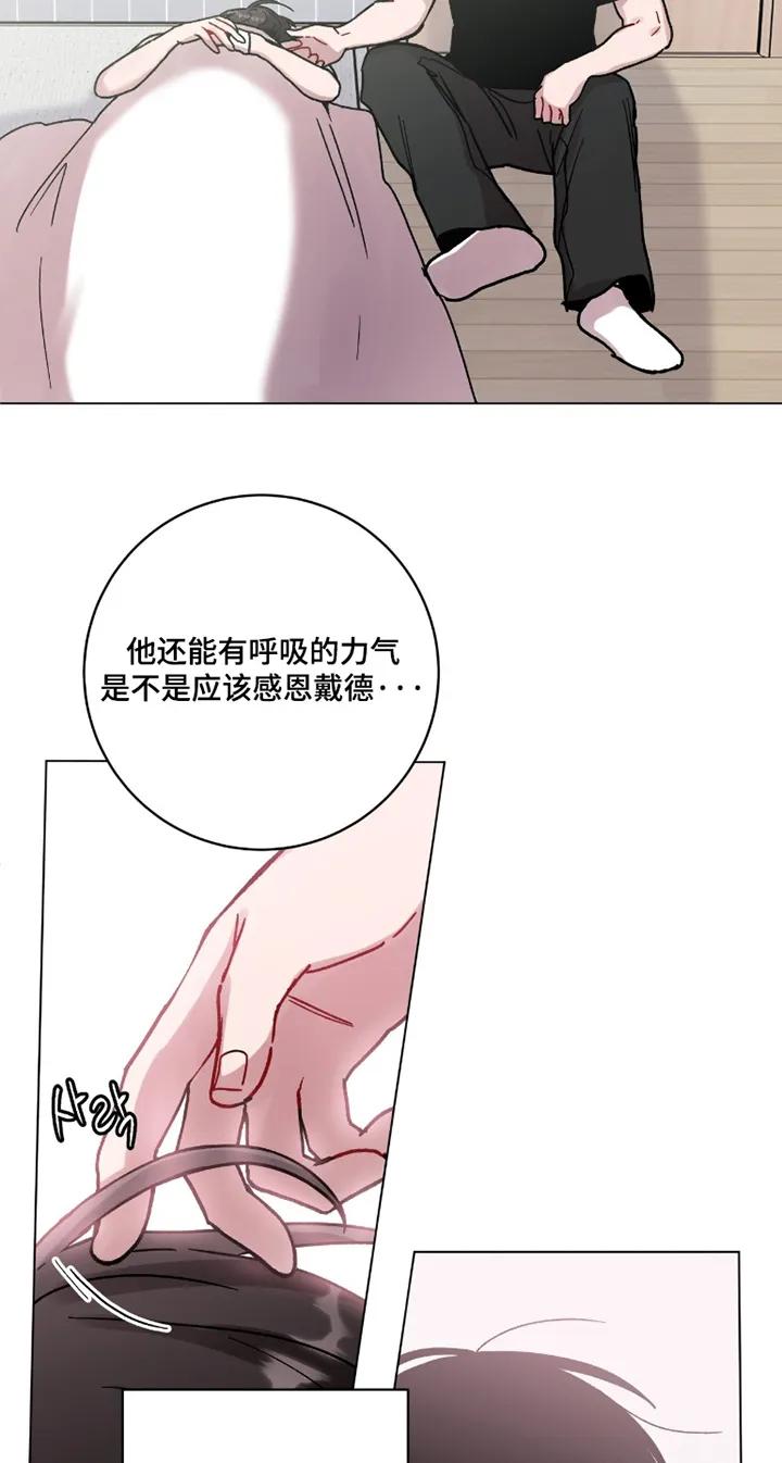 《复生之缘》第195章：太困了 第24页
