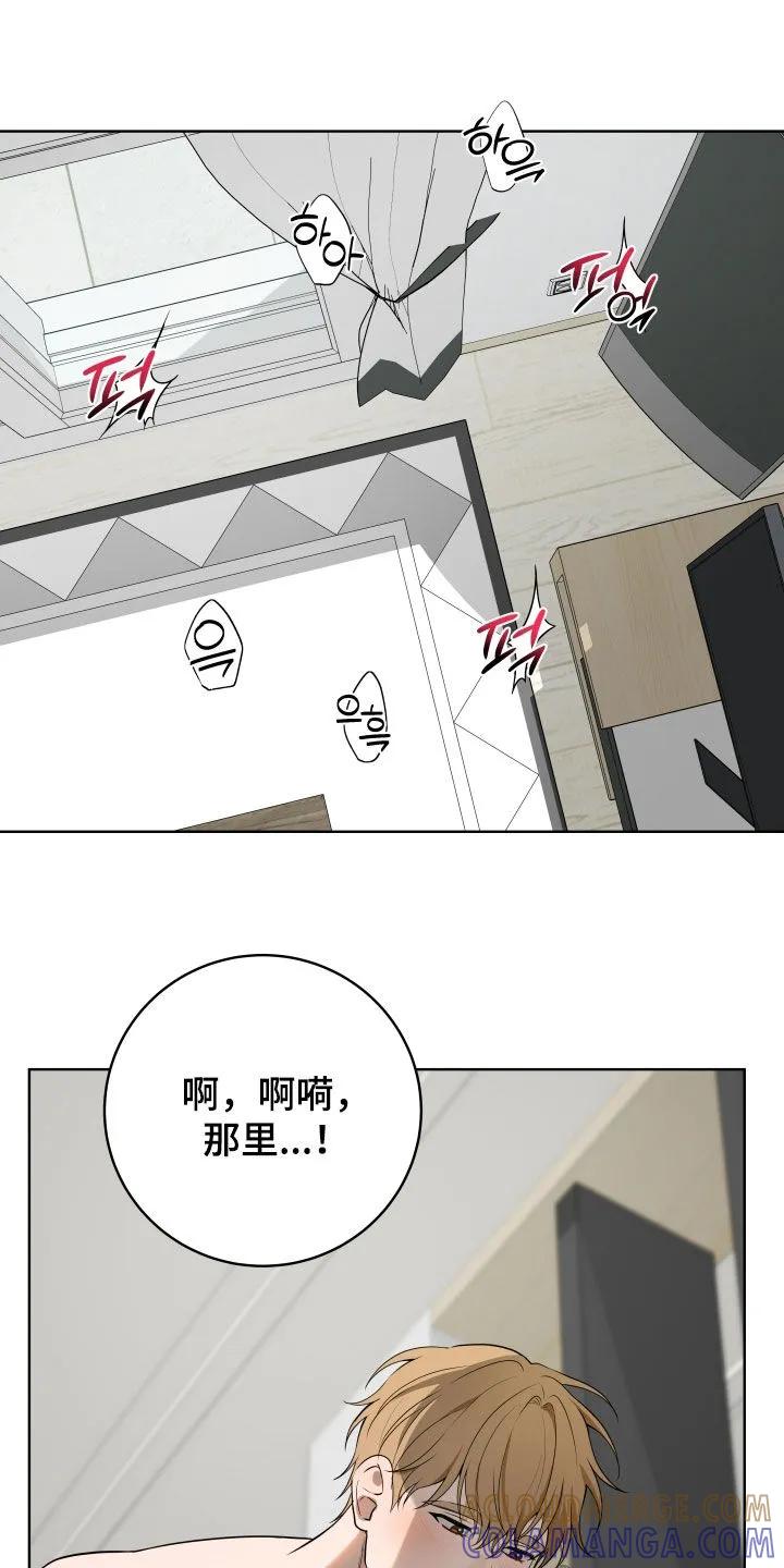 《恋爱三骑士》第75章：【番外】太幸福了 第11页