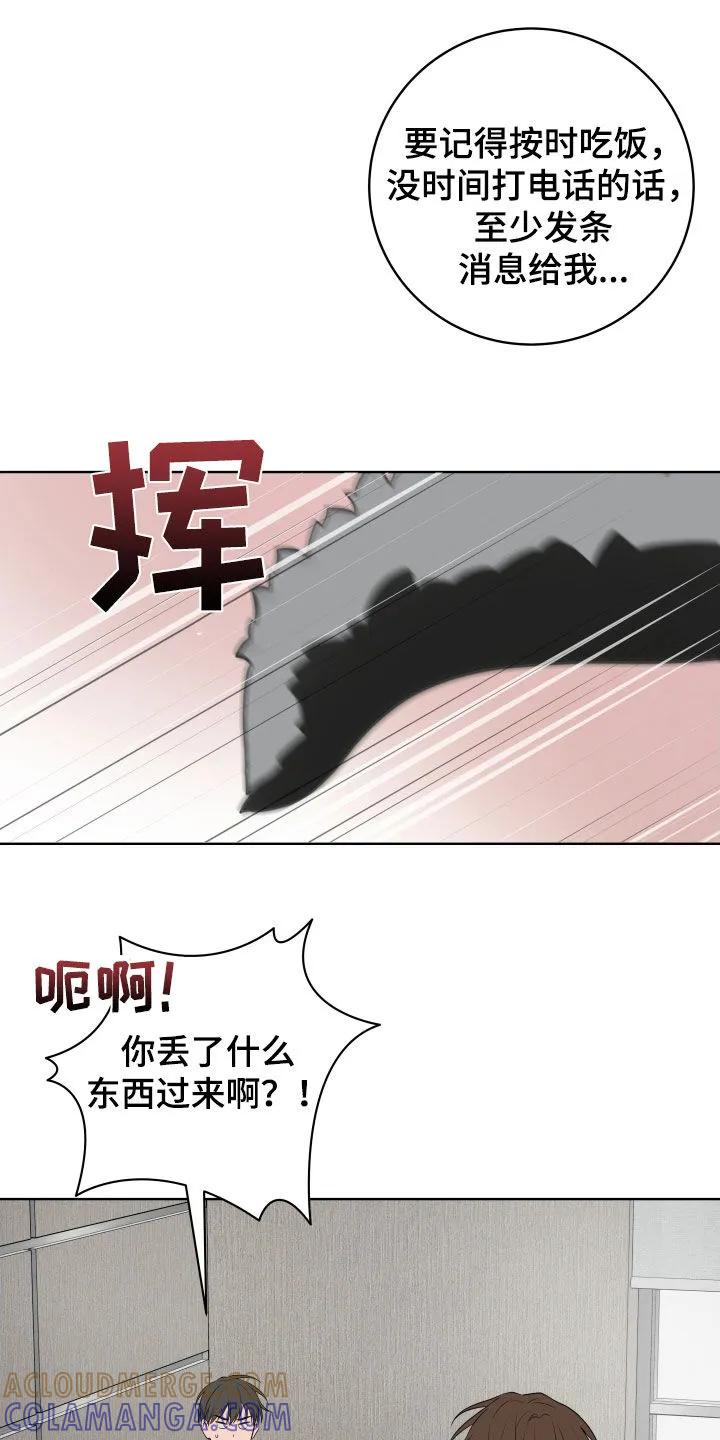 《恋爱三骑士》第76章：【番外】出国 第17页