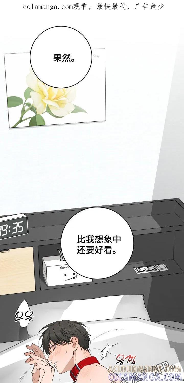 《恋爱三骑士》第79章：【番外】梦寐以求 第1页