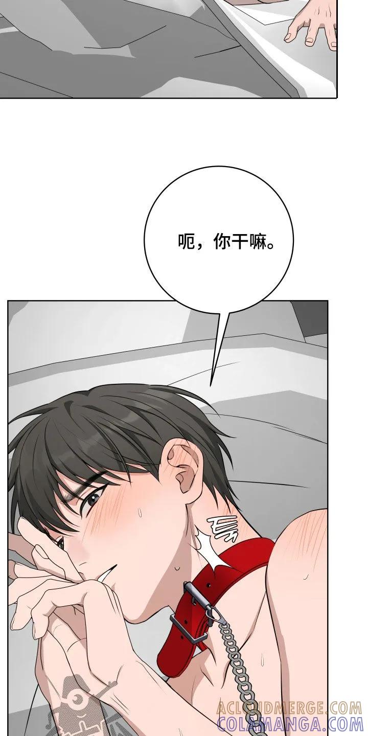 《恋爱三骑士》第79章：【番外】梦寐以求 第3页