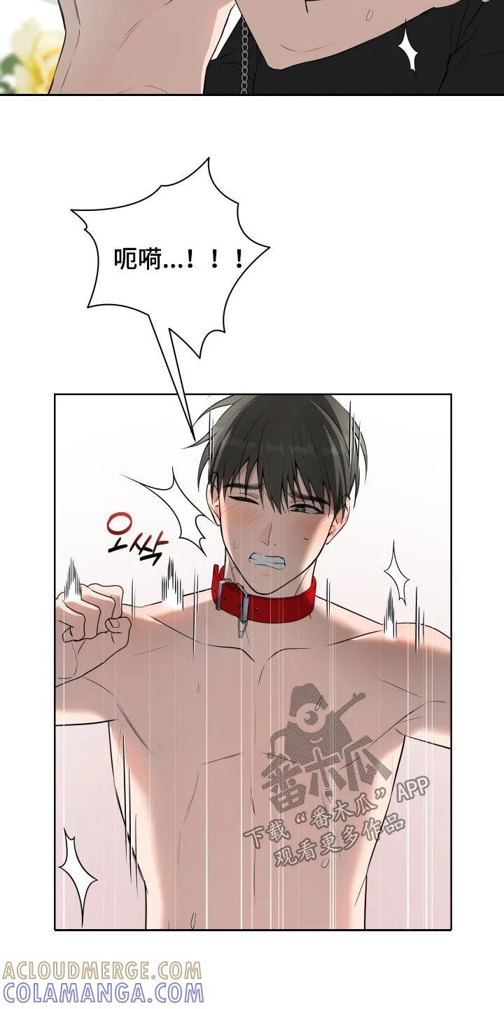 《恋爱三骑士》第79章：【番外】梦寐以求 第11页