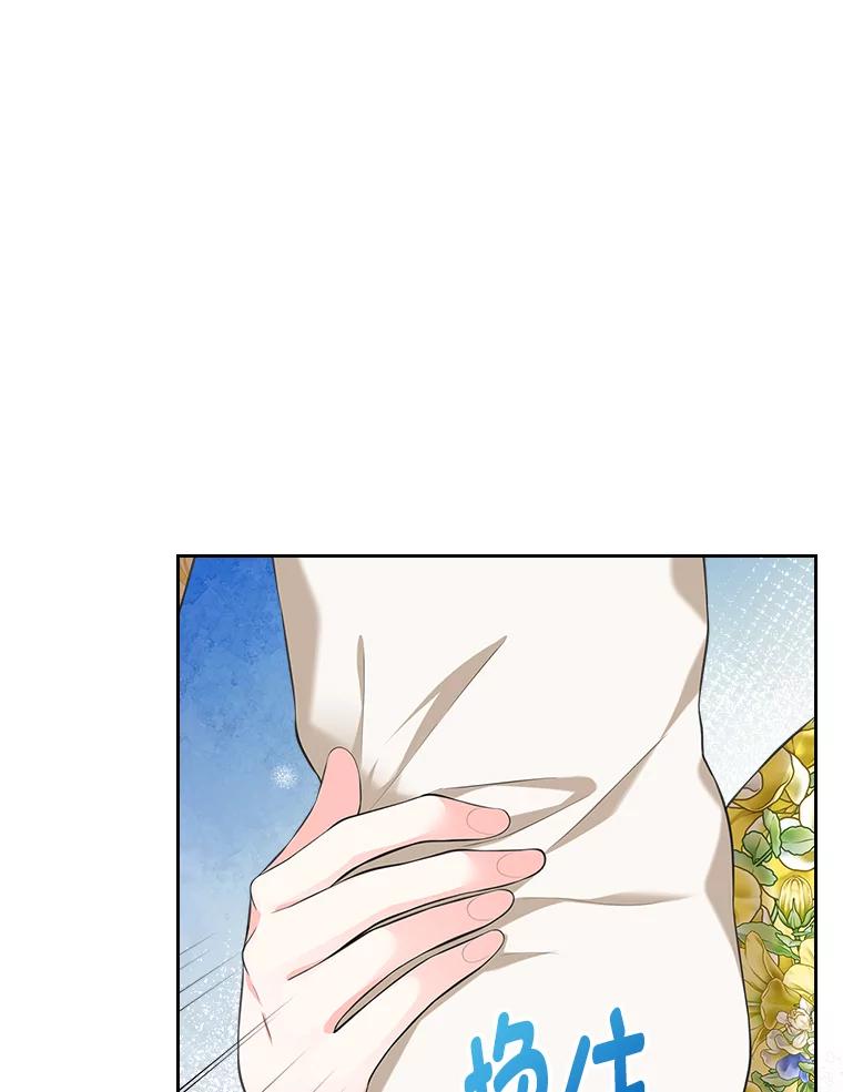 《我要和女主的妹控哥哥离婚》27.法院之前斗气势 第14页