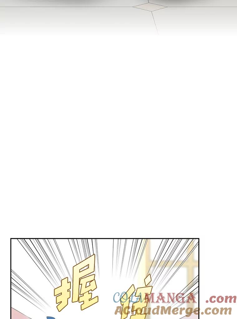 《我要和女主的妹控哥哥离婚》27.法院之前斗气势 第97页
