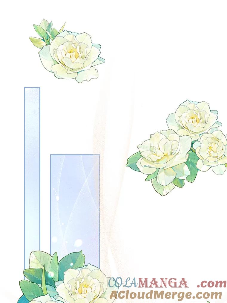 《我要和女主的妹控哥哥离婚》32.真正的敌人 第41页
